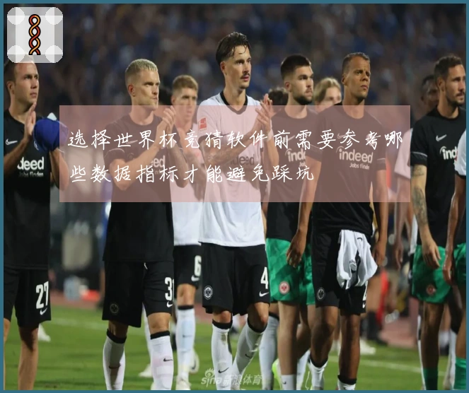 选择世界杯竞猜软件前需要参考哪些数据指标才能避免踩坑