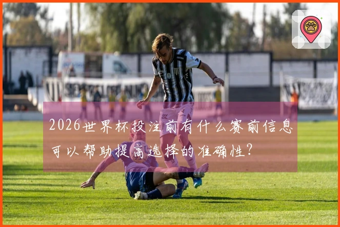2026世界杯投注前有什么赛前信息可以帮助提高选择的准确性？